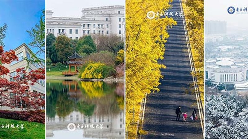 揭秘国产电容漏电流排名前十品牌，选购之道