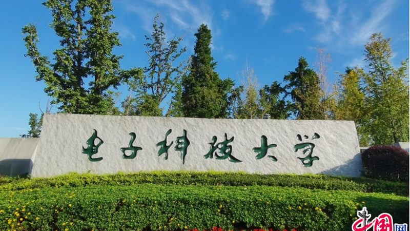 揭秘贴片电阻：常用型号解析与应用场景